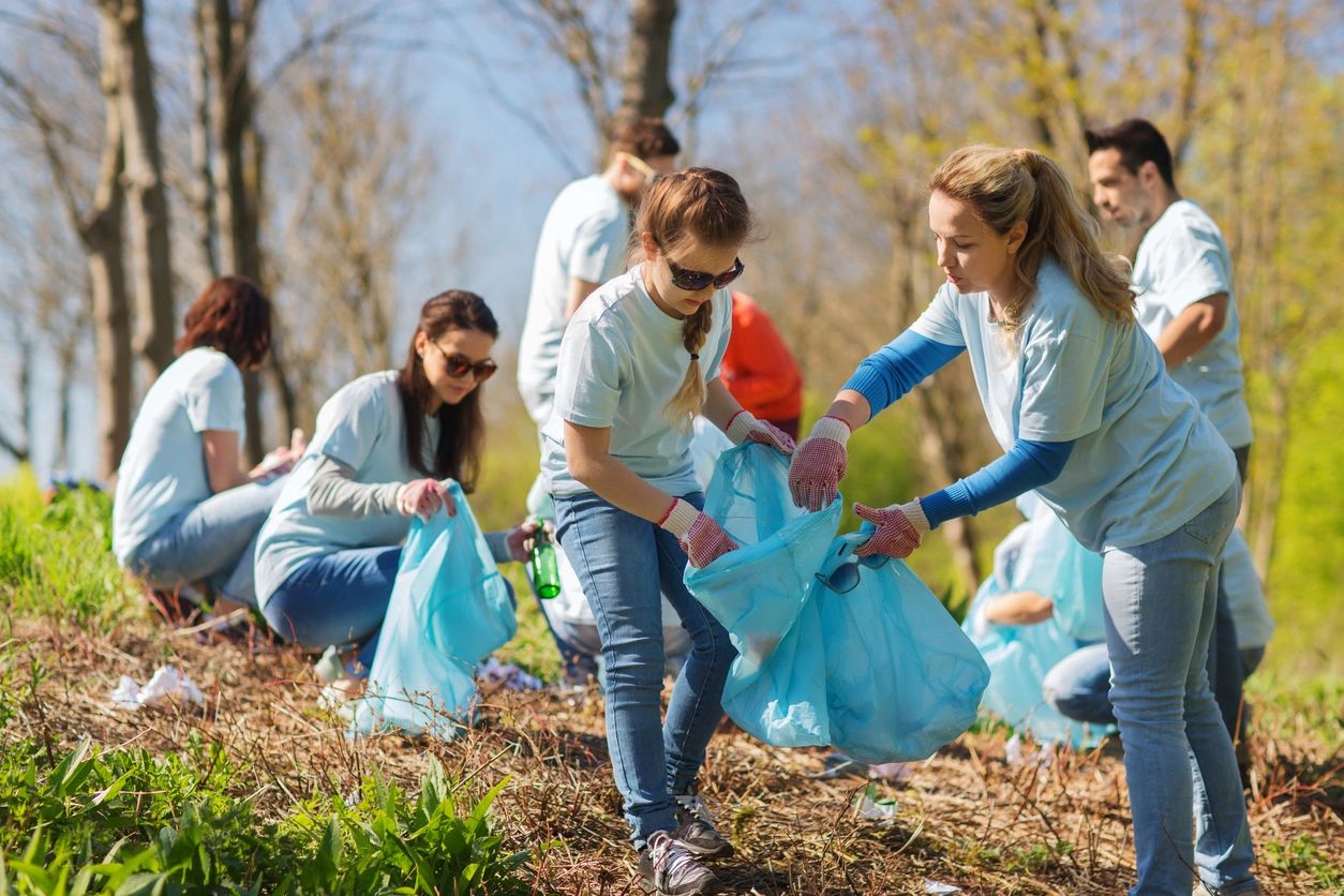 A group of people picking up trash in the woods.